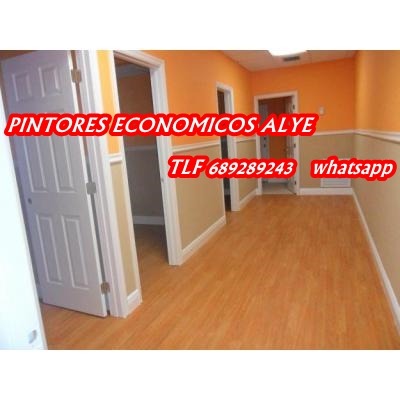 Pintores economicos en  fuenlabrada 689 289 243 alye